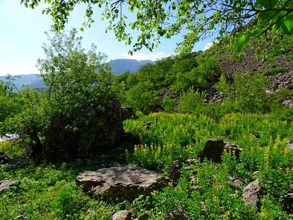 ЛЮБИМАЯ И БЛИЗКАЯ РЕЧКА - Виктор Осипчук ЛЮБИМАЯ И БЛИЗКАЯ РЕЧКА - Виктор Осипчук