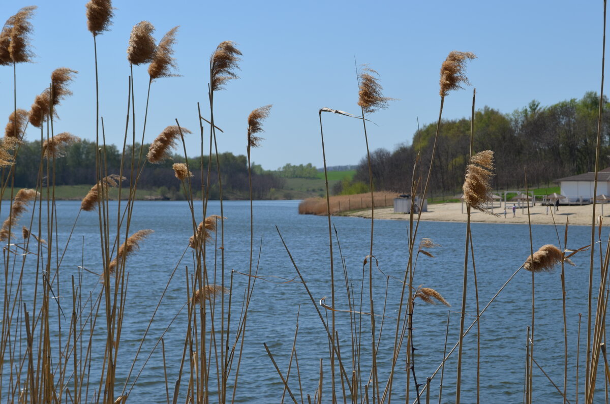 ,,, - Сергей Тимоновский