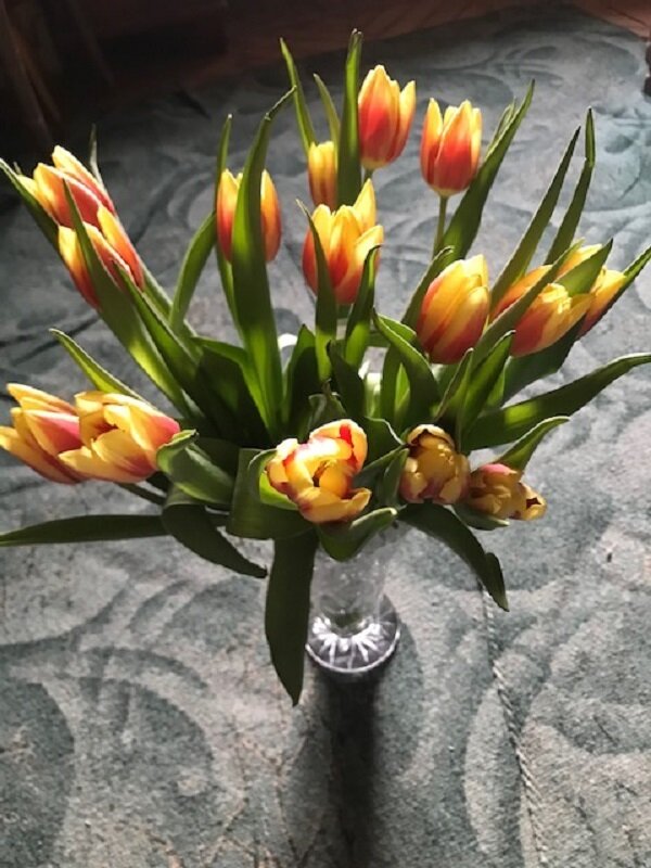 Подарок весны - Татьяна Юрасова