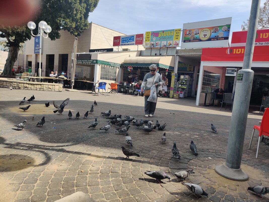 Кормление глобулей - Светлана Хращевская