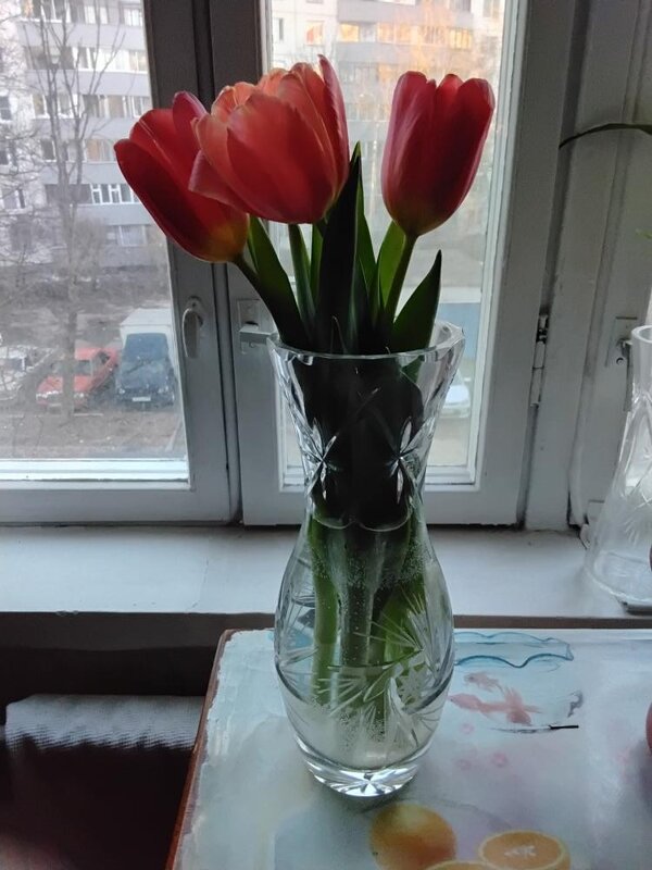 Три красных цветка - Дмитрий Никитин