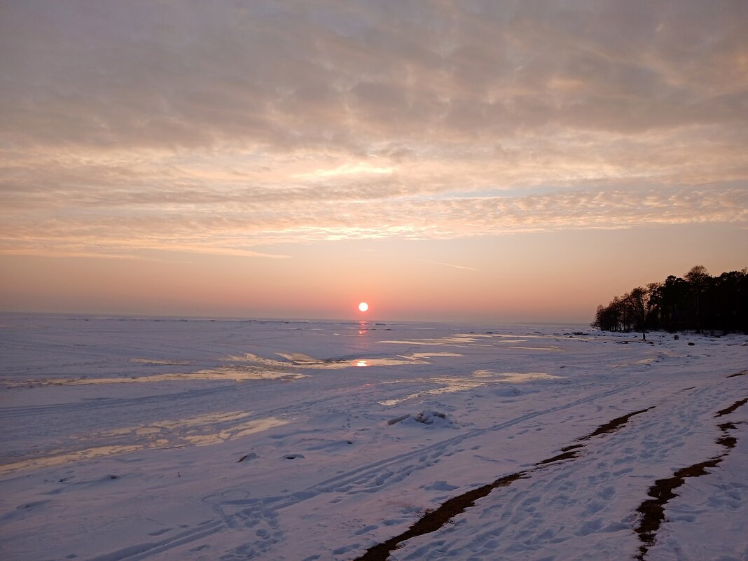 Финский залив. - Лия ☼