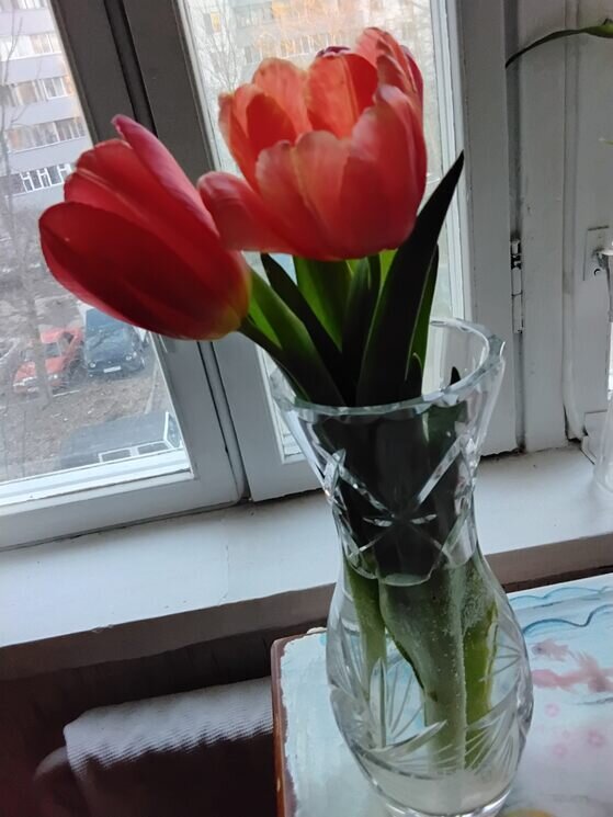 Три красных цветка - Дмитрий Никитин