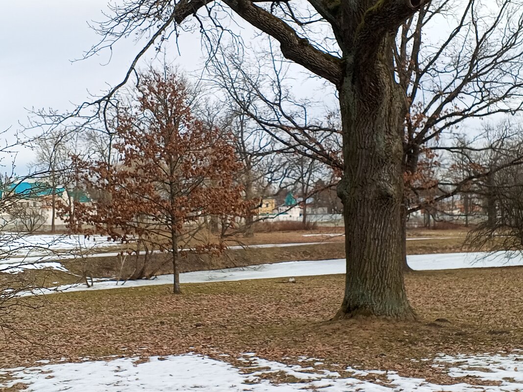 Весна - Сапсан 