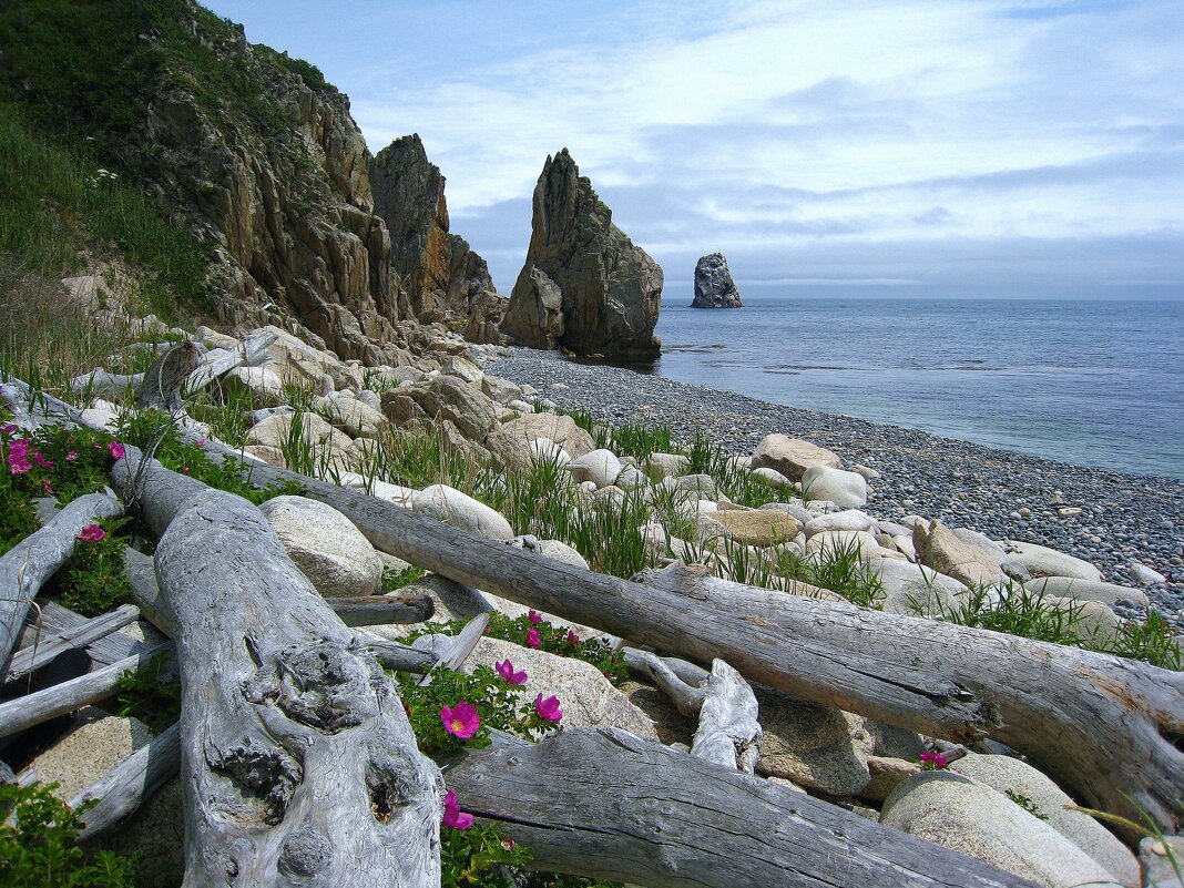 Кусочек Приморского края. - unix (Илья Утропов) Кусочек Приморского края. - unix (Илья Утропов)