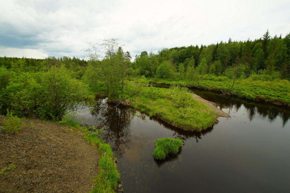 Река Турья... - Николай Гирш Река Турья... - Николай Гирш
