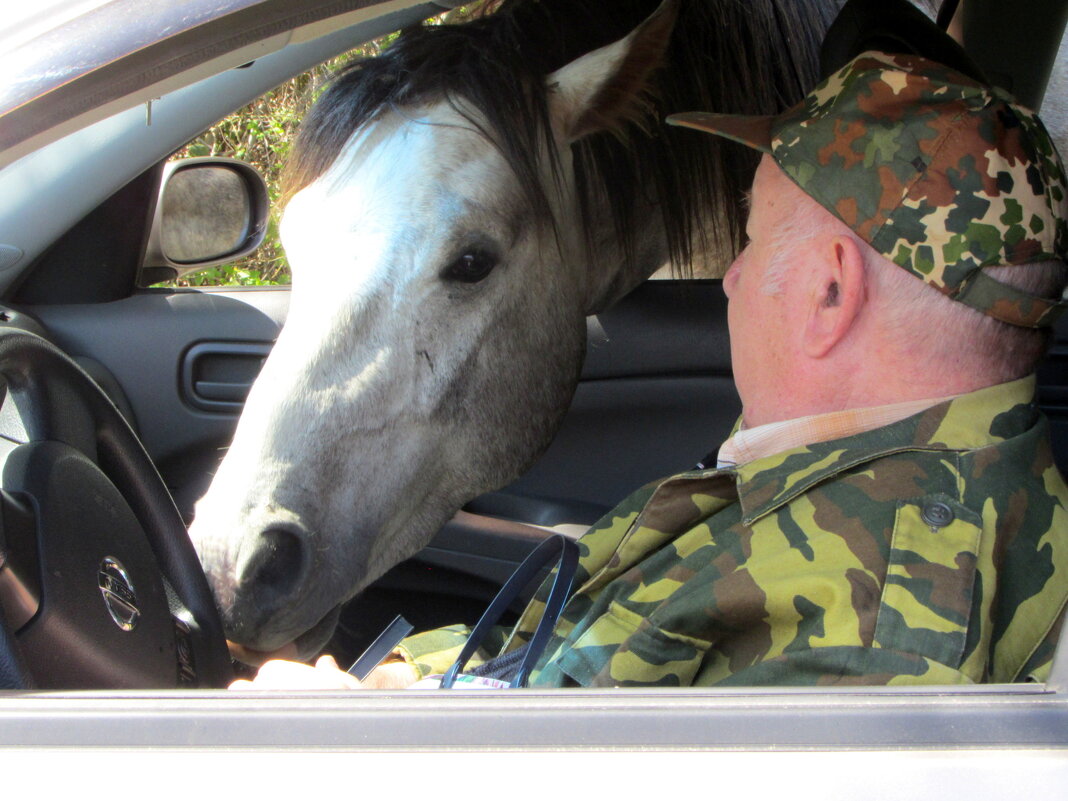 Добрый друг - Валерий 