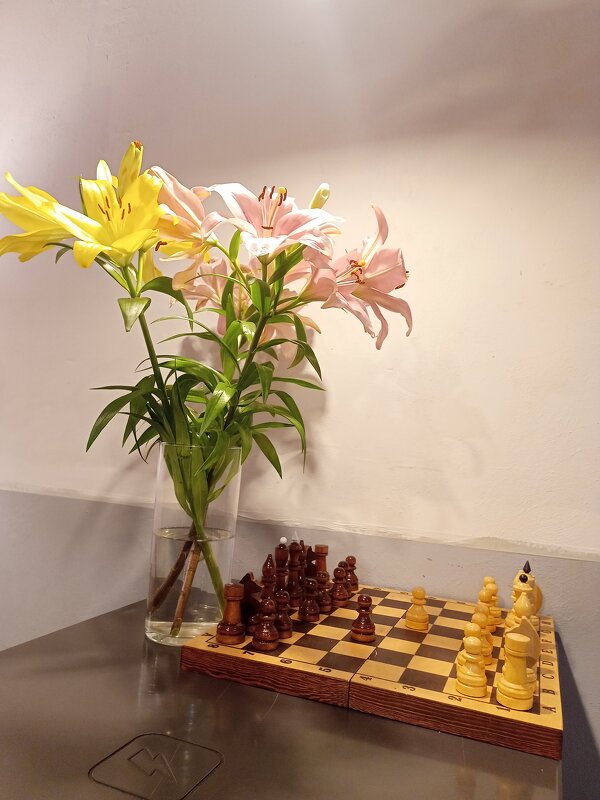 Санкт-Петербург - Юра Светлаков