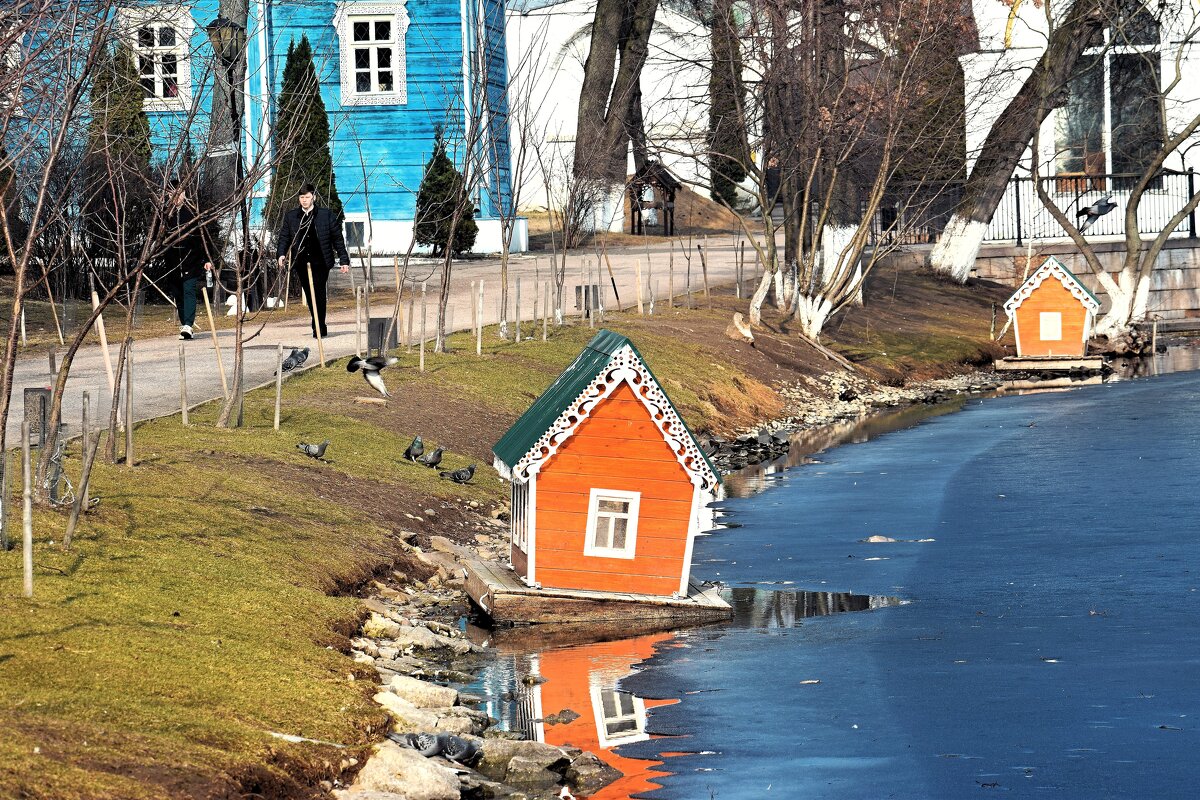 Новоселье у водоплавающих. - Татьяна Помогалова Новоселье у водоплавающих. - Татьяна Помогалова