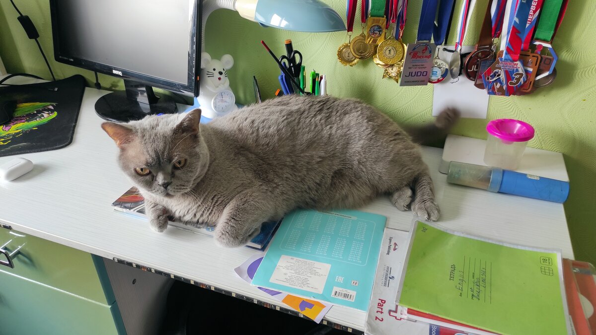 Кто хозяин в детской комнате? - Татьяна Лютаева Кто хозяин в детской комнате? - Татьяна Лютаева