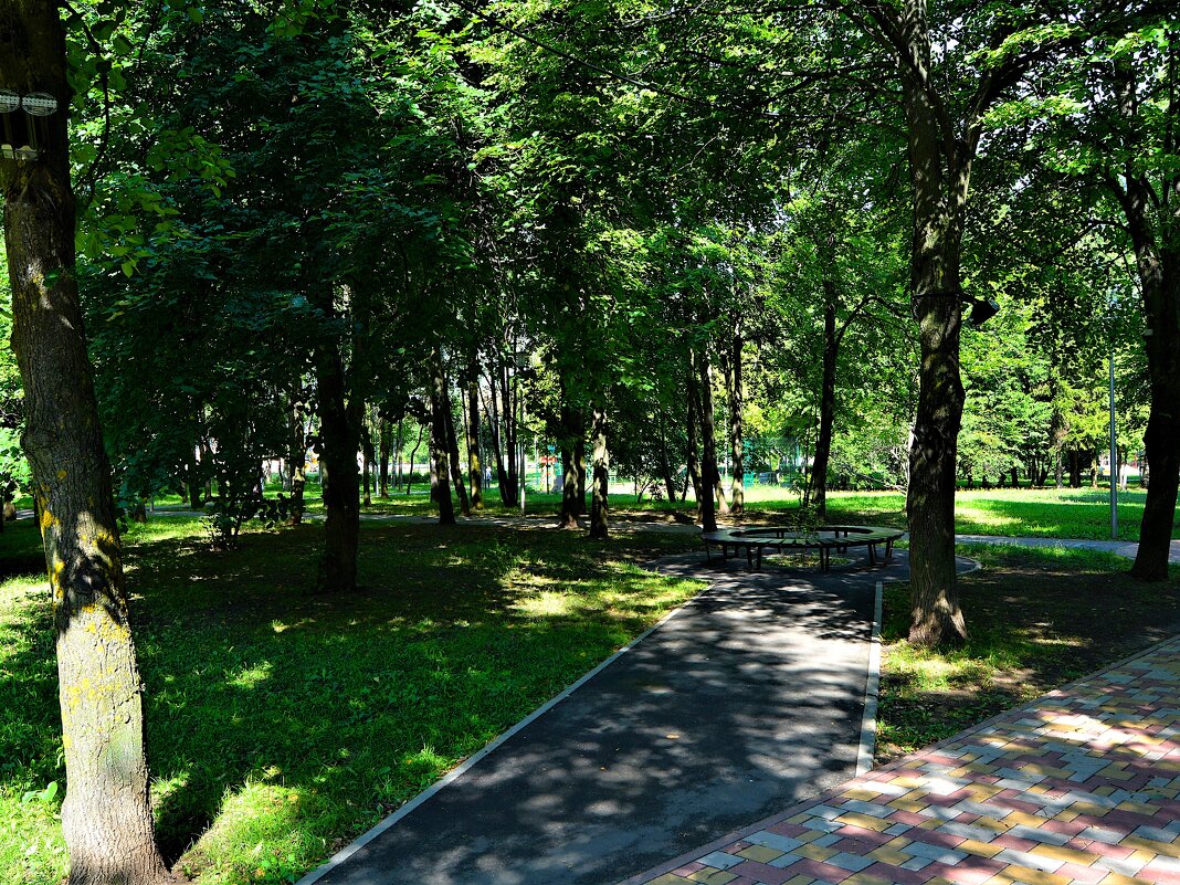 Чебоксары. Уголок для отдыха в тени Дорисс-парка. - Пётр Чернега