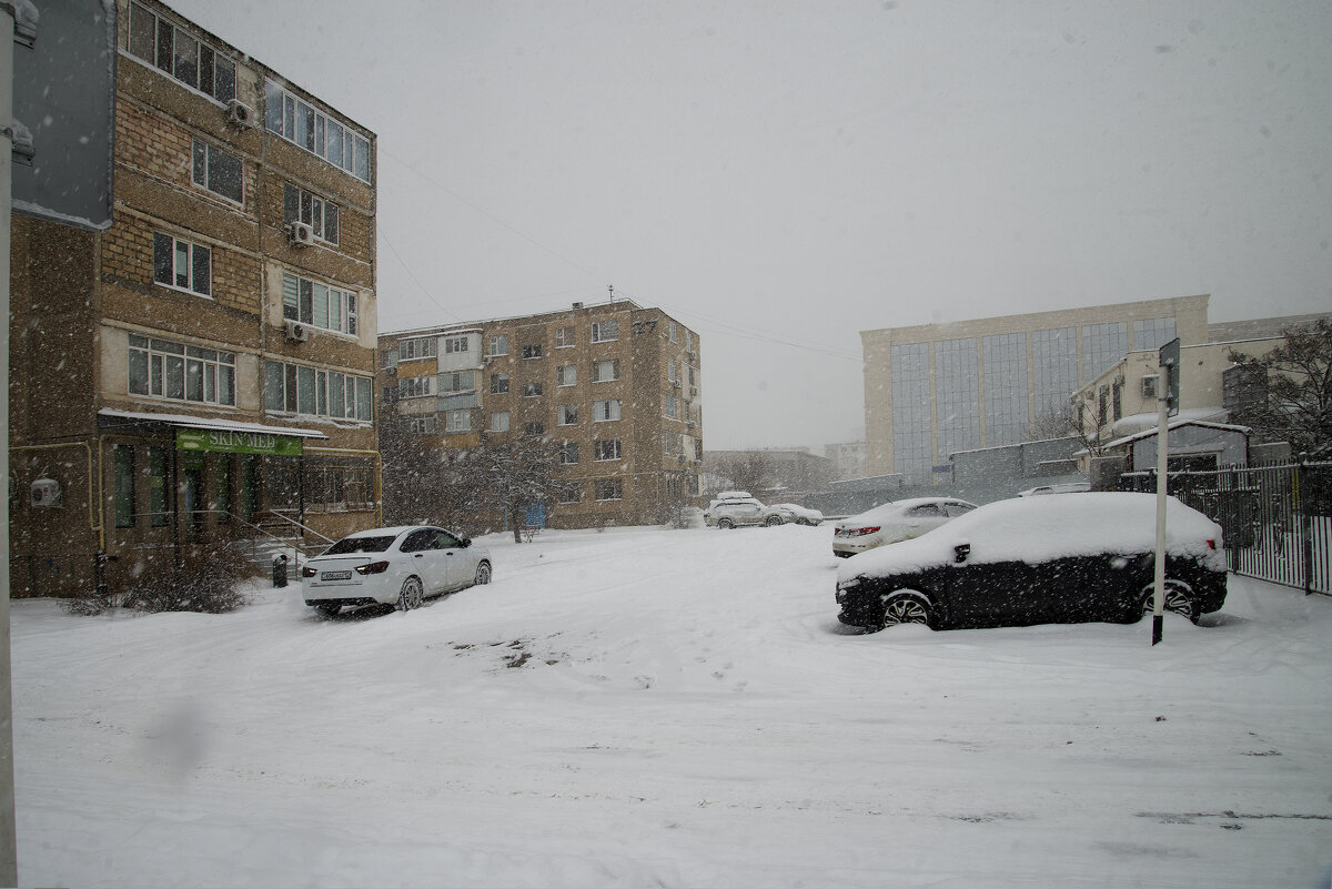 Снег идёт - Анатолий Чикчирный Снег идёт - Анатолий Чикчирный