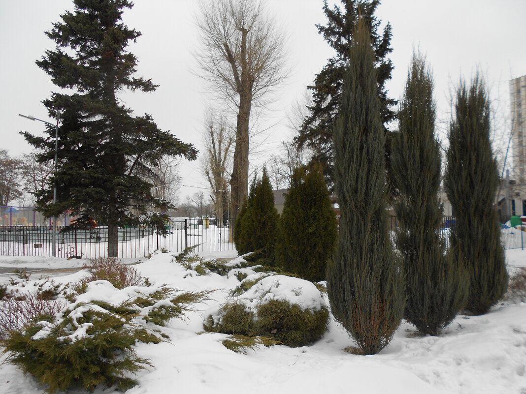 первые дни марта - Елена Шаламова первые дни марта - Елена Шаламова