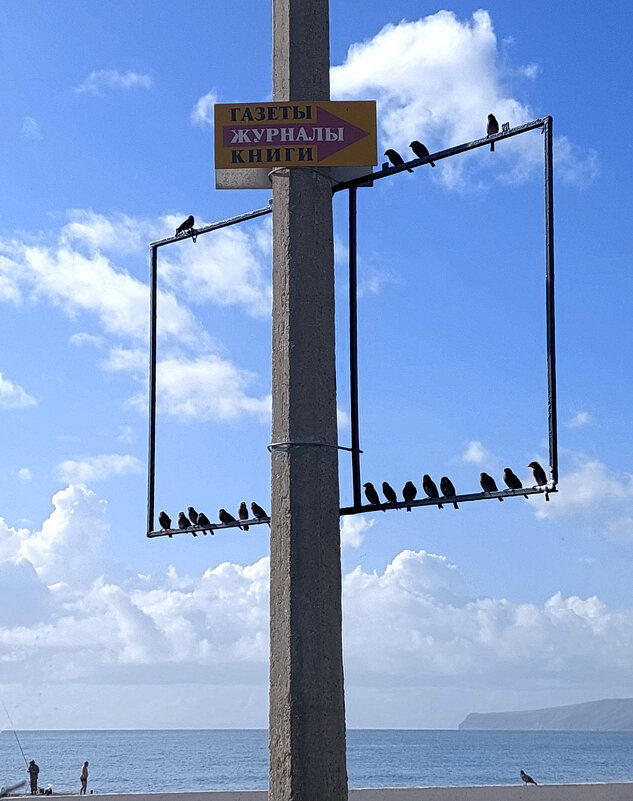 новости от птиц - ИРЭН@ . новости от птиц - ИРЭН@ .