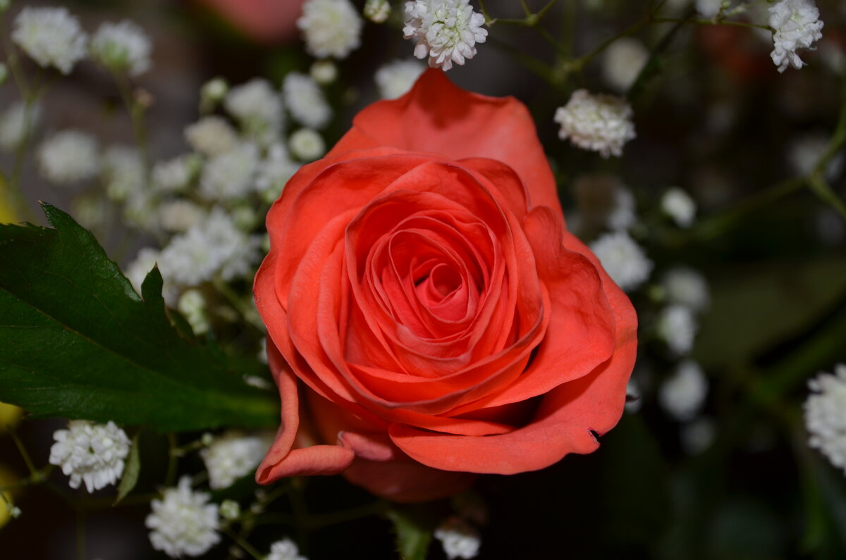 ,,, - Сергей Тимоновский ,,, - Сергей Тимоновский