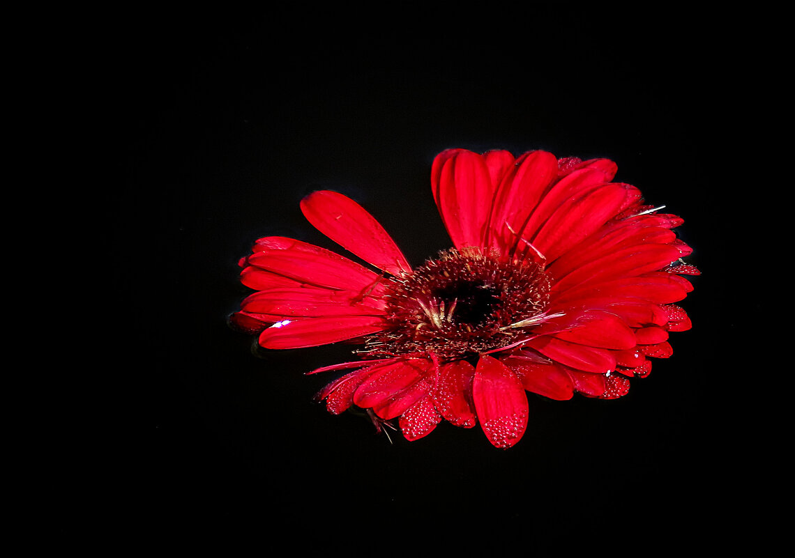 ****** - Андроник Александр ****** - Андроник Александр