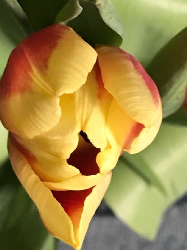 *** - Татьяна Юрасова