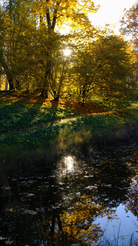 Осенний пейзаж - Олег Зоркий Осенний пейзаж - Олег Зоркий