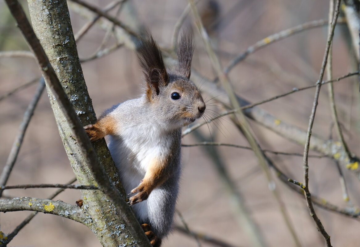 Белкофото ) - Андрей Зайцев Белкофото ) - Андрей Зайцев