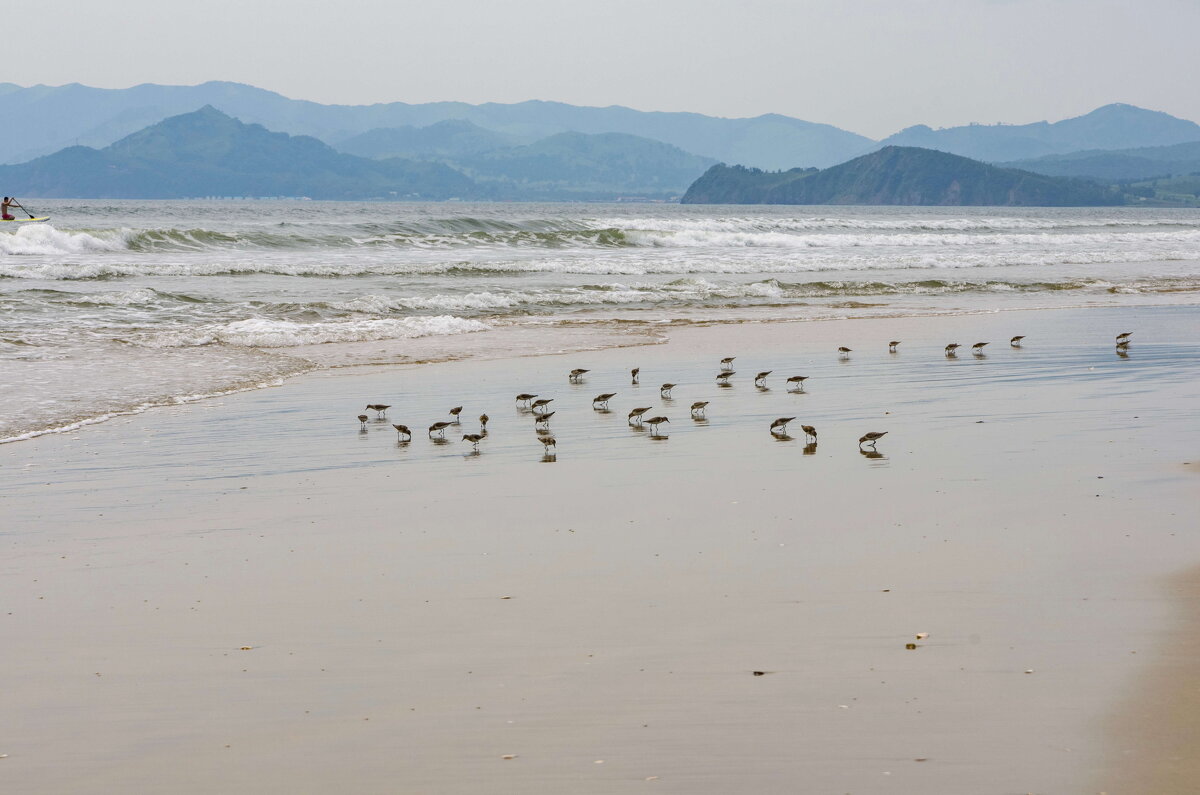 *** - Alexandr Khizhniak *** - Alexandr Khizhniak