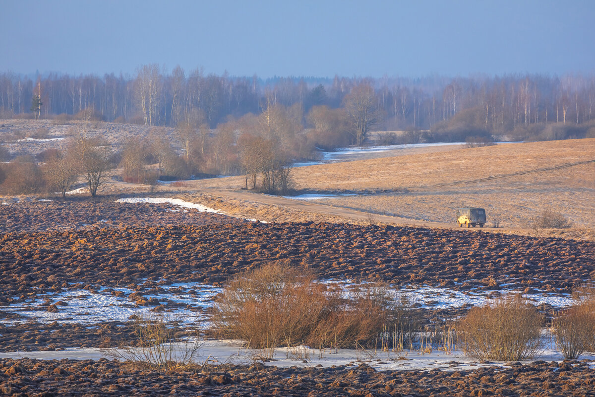 **** - Елизавета .