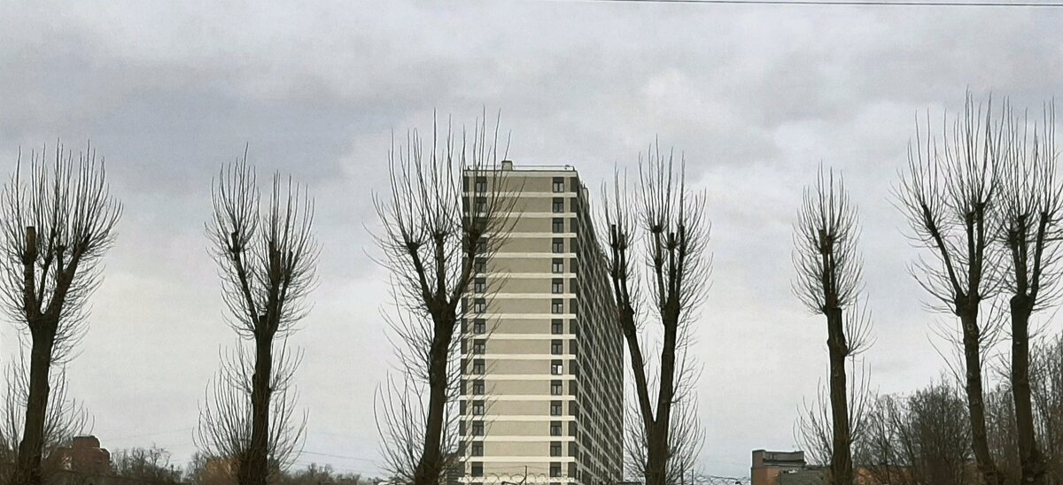 Руки вверх! - Наталья Герасимова Руки вверх! - Наталья Герасимова