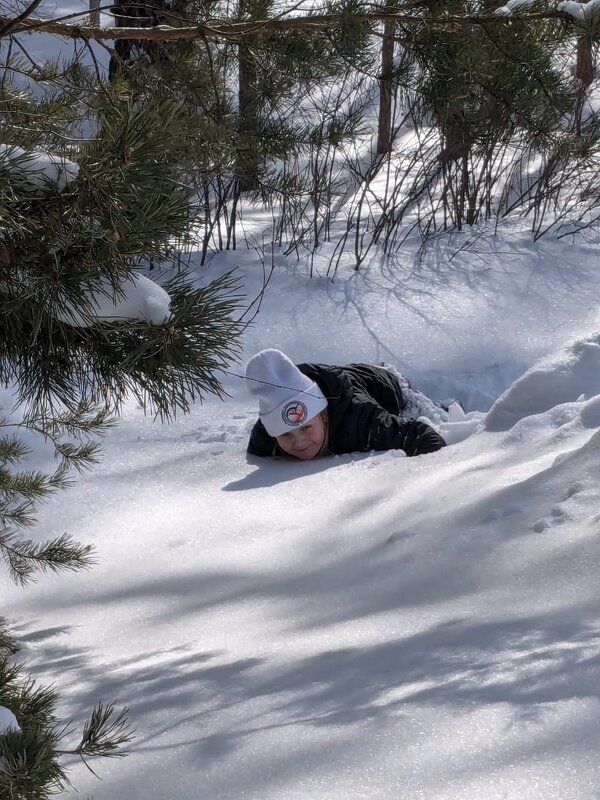 В снегах - Георгиевич 