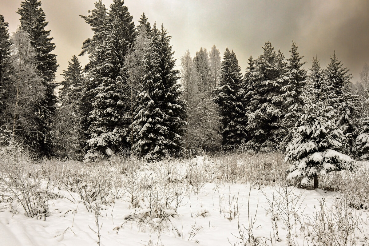 Была ли зима ? - skijumper Иванов Была ли зима ? - skijumper Иванов