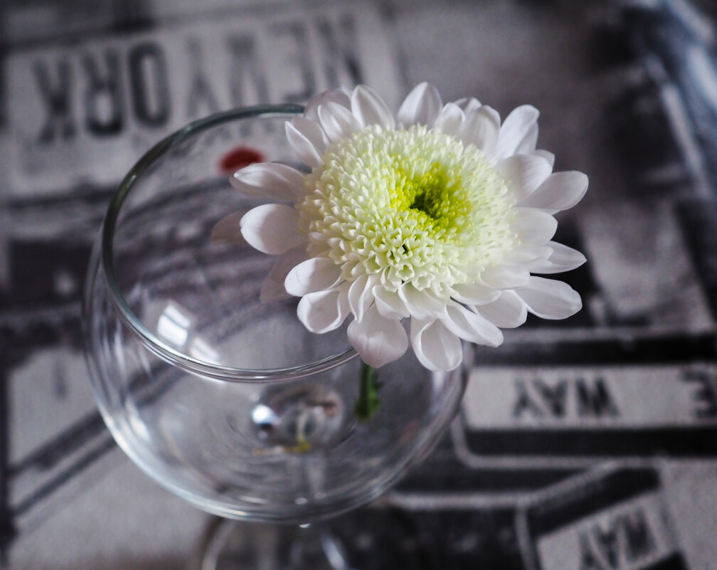 ...немного цвета - Магомед .