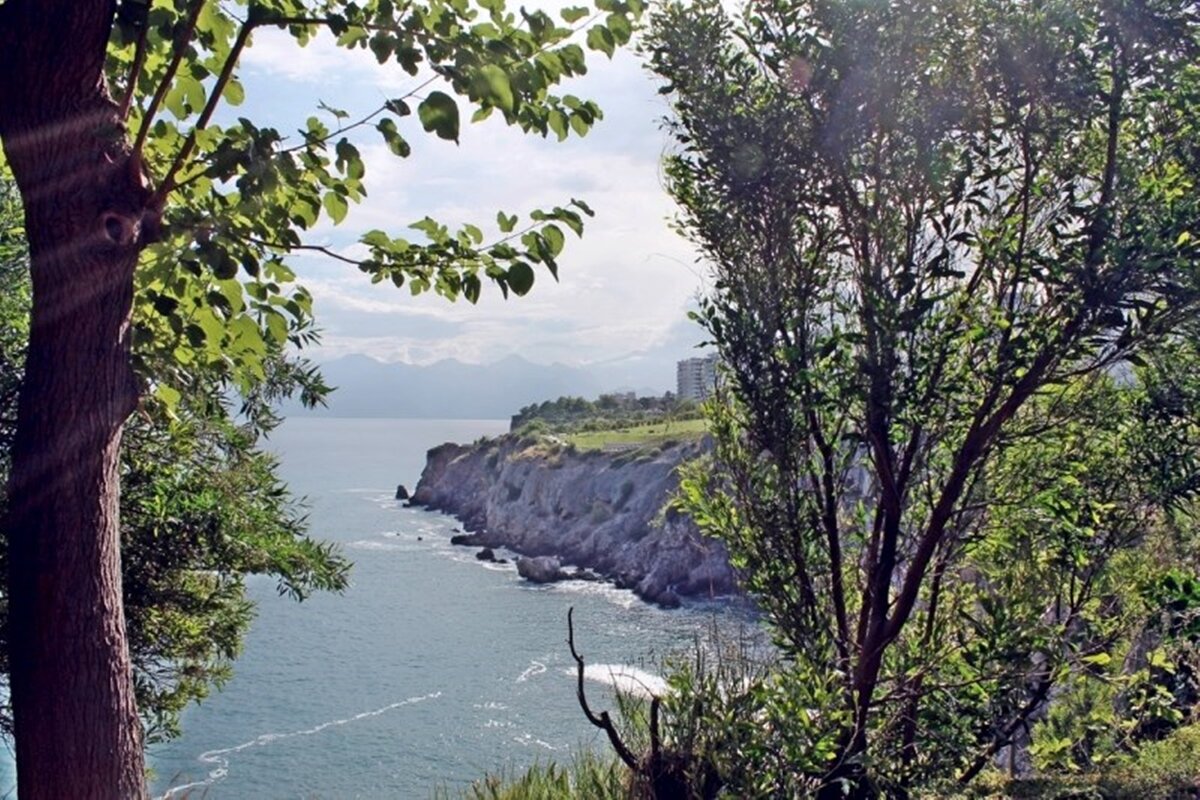 природа - марта Камушкина