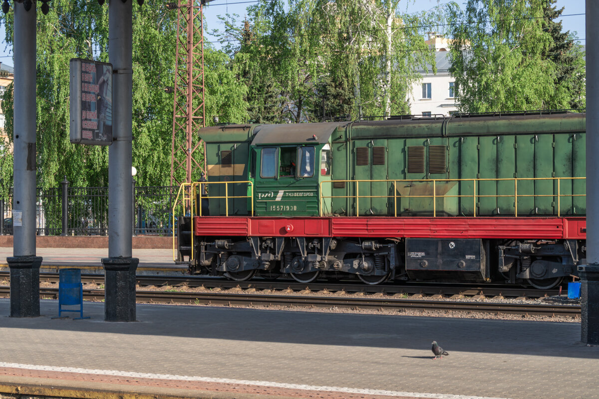 Будни ЖД Белгород - Игорь Сикорский