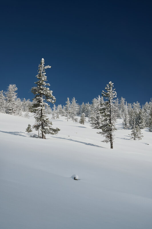 * - Александр Иванов