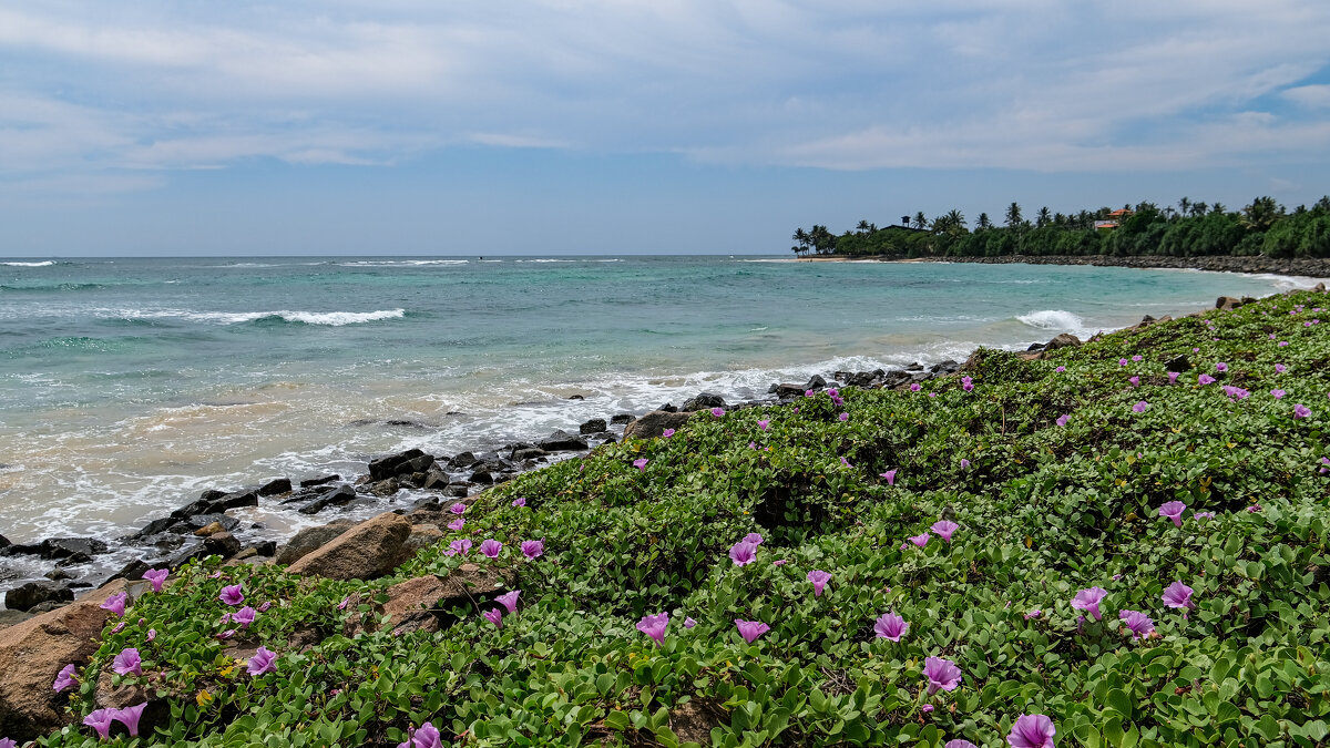 Берег океана - Dmitry i Mary S Берег океана - Dmitry i Mary S