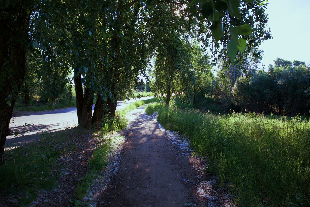 Название отсутствует - Денис Безногов