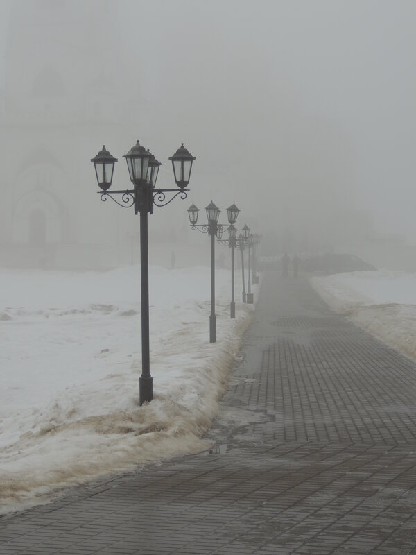 Туман. Центр - Николай ntv