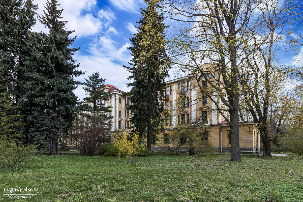 Уголки Ботанического сада Петербурга - Евгений Уголки Ботанического сада Петербурга - Евгений