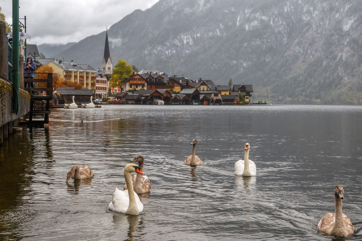 Австрия - Владимир Колесников