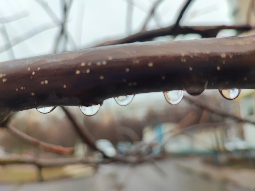 ,,, - Сергей Тимоновский