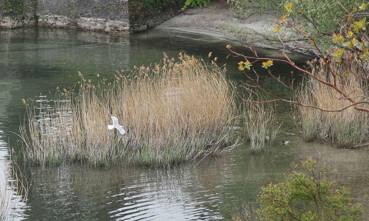 Весна - ZNatasha -