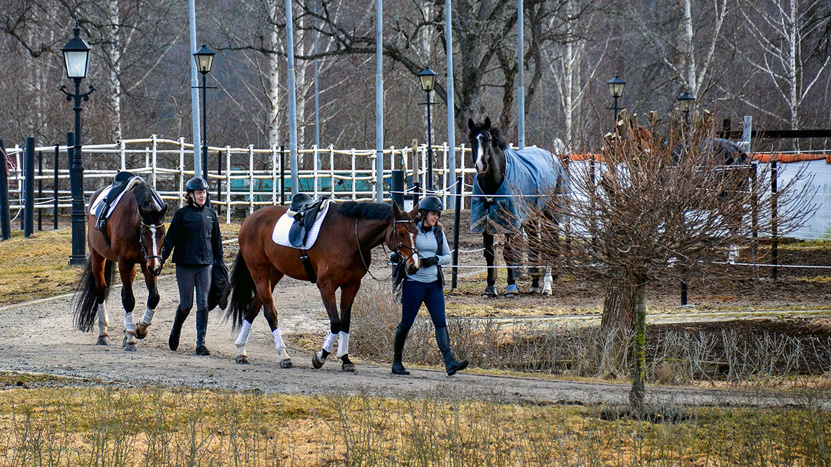 Приятное времяпровождение - Alexandеr P