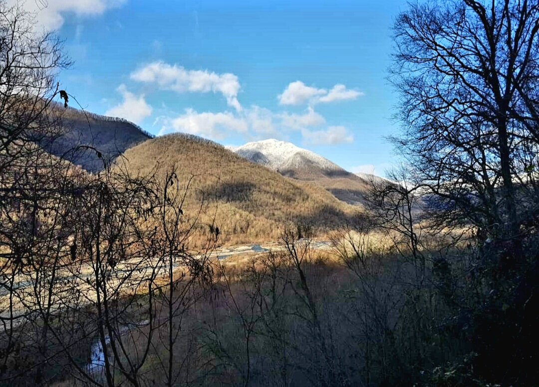 СОЛОХ-АУЛ СОЧИ - Tata Wolf