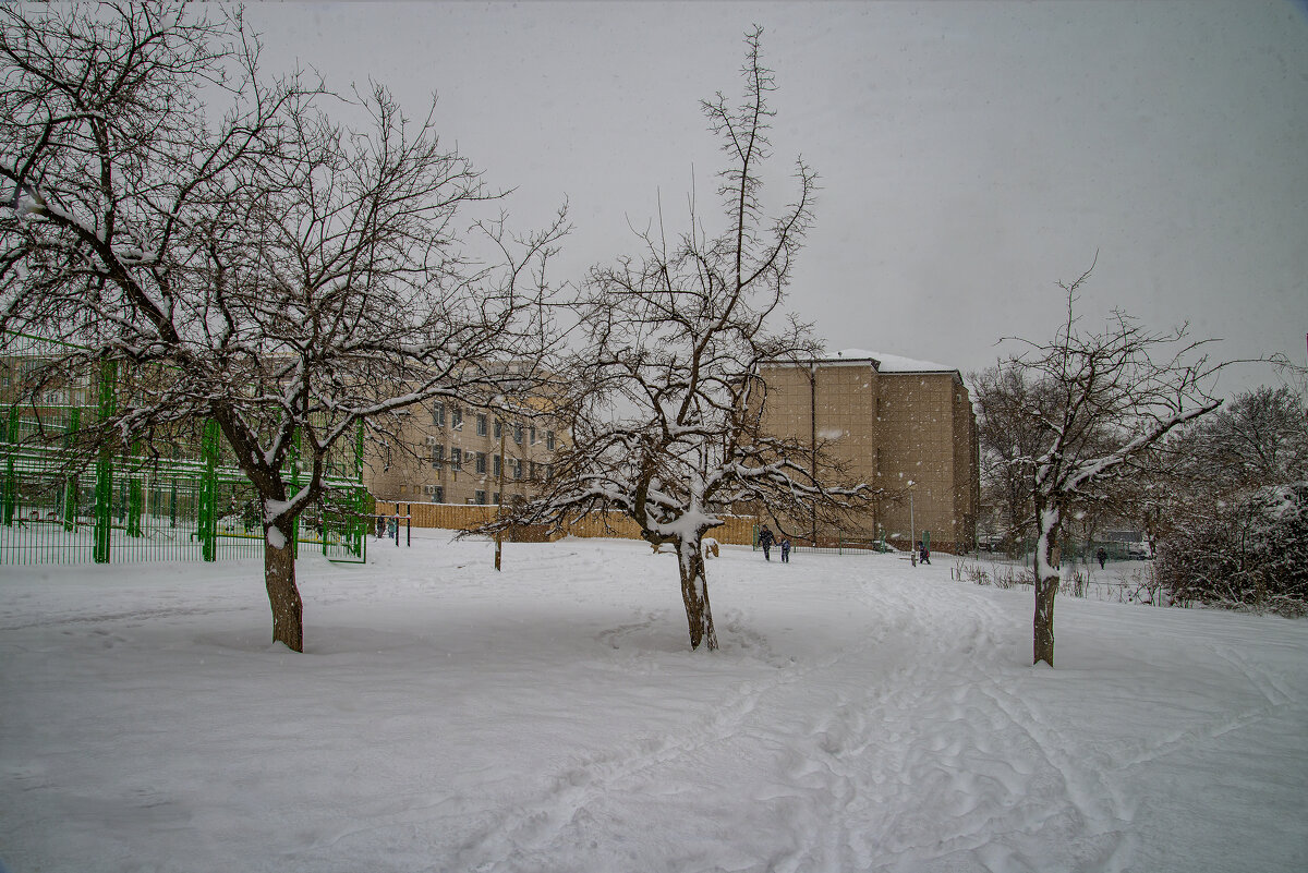 Снег - Анатолий Чикчирный