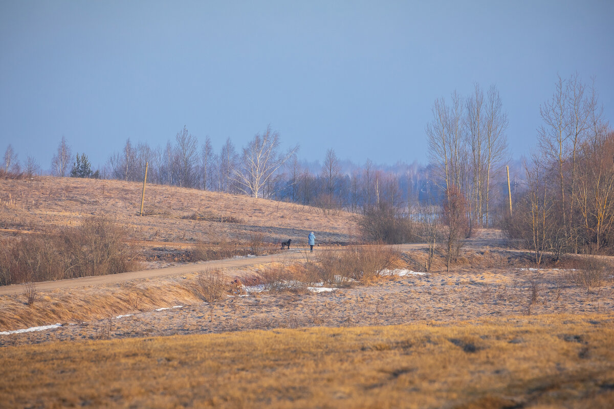 **** - Елизавета .