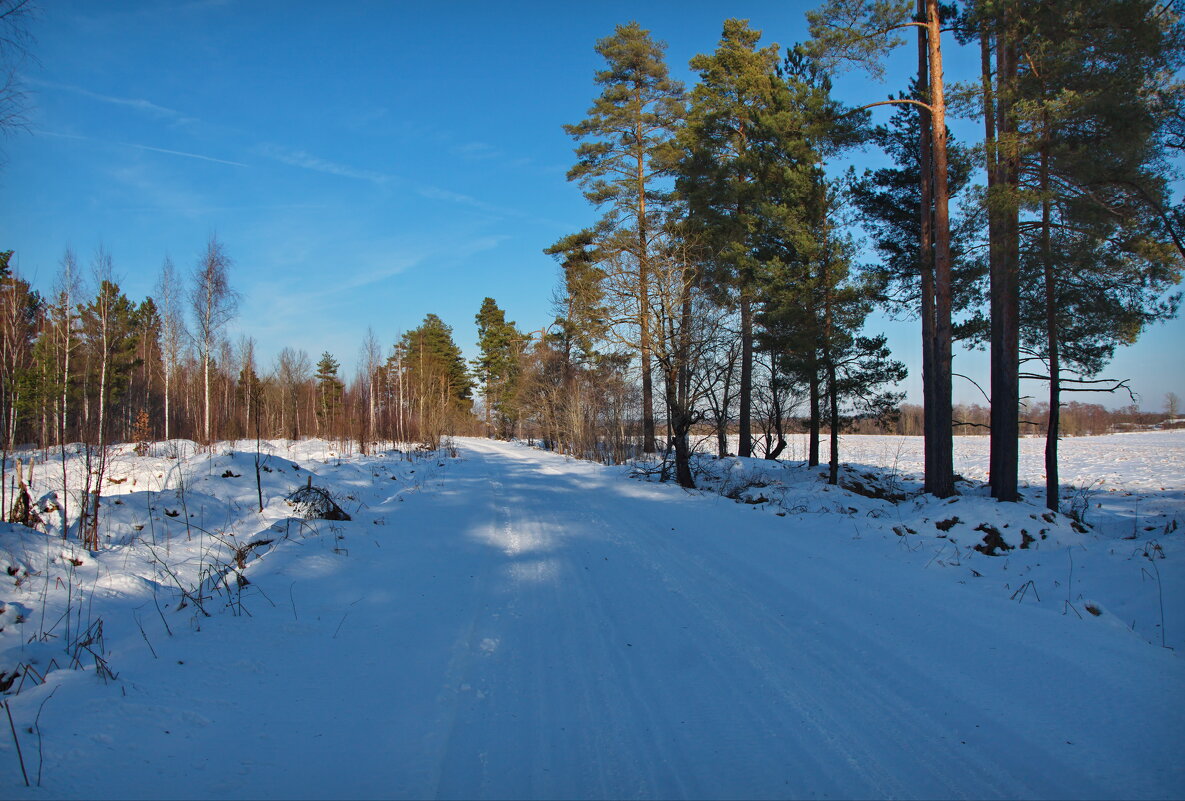 Зимняя прогулка - lady v.ekaterina Зимняя прогулка - lady v.ekaterina