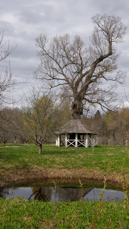 Беседка в саду Тригорского - Олег Зоркий Беседка в саду Тригорского - Олег Зоркий