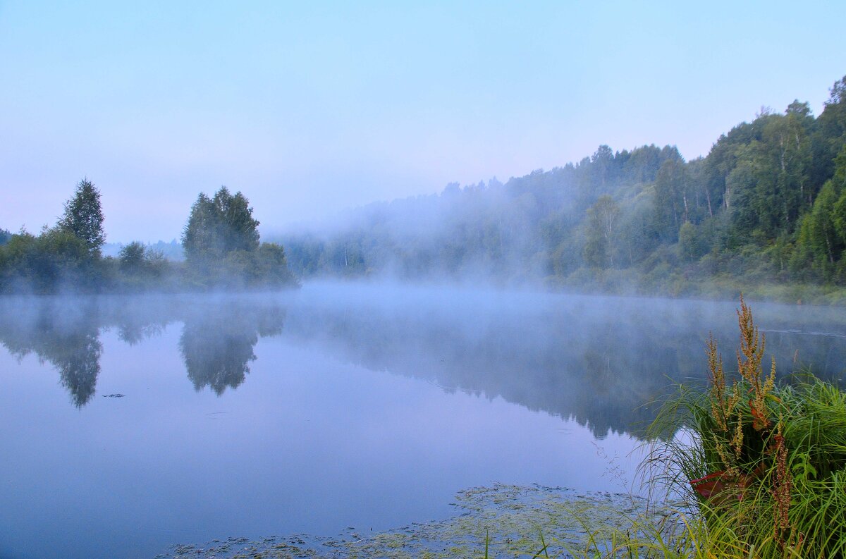 Туманные пейзажи - Владимир Мигонькин Туманные пейзажи - Владимир Мигонькин