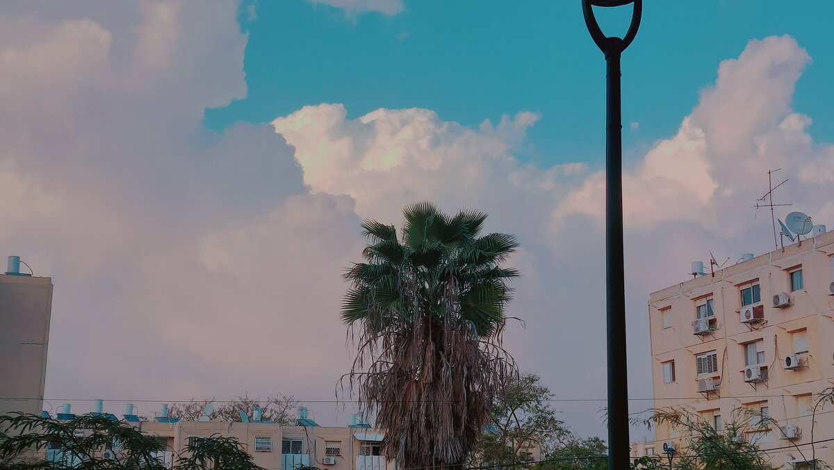 12  КЛОС (730) - CLOSE WAYS ALL