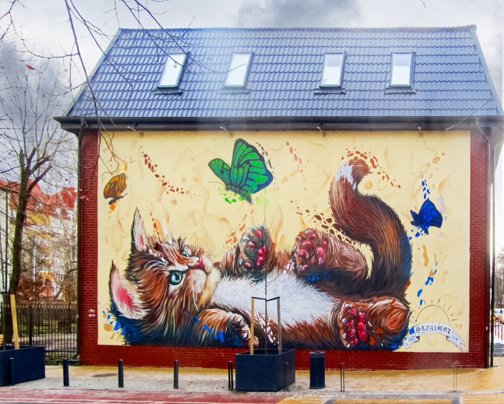 Котс с бабочками - Сергей Карачин