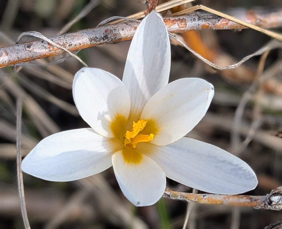 *** - Хэлен *** *** - Хэлен ***