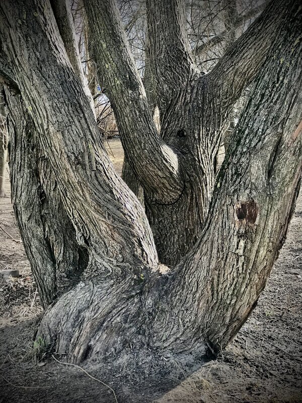 Мне улыбнулись) - Любовь 